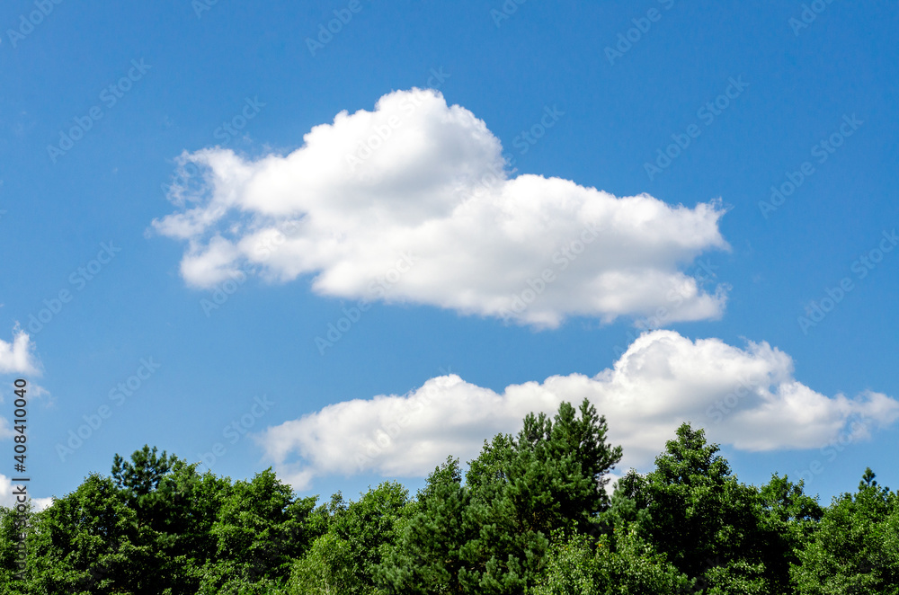 Green trees and blue sky with clouds Green trees and blue sky with clouds