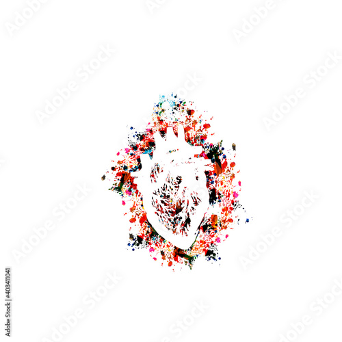 Heart diagnostic,  healthcare, medical checkup and diagnostic vector illustration. Colorful human hearth, internal organ, human anatomy concept