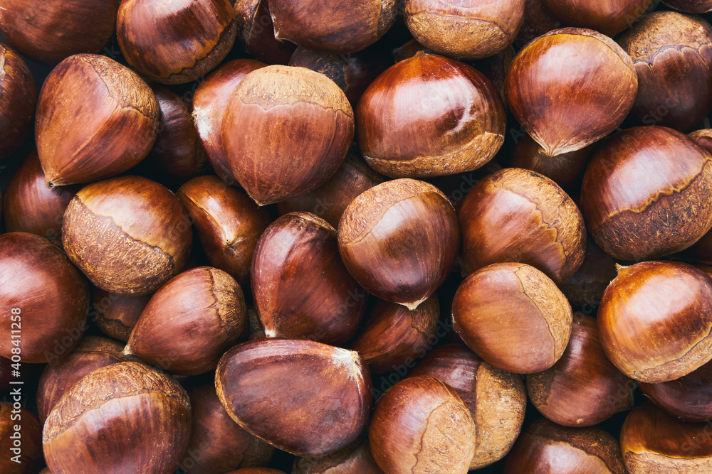 Fresh uncooked sweet chestnut. Pile of fresh chestnuts ready to roast shot. Top view Fresh uncooked sweet chestnut. Pile of fresh chestnuts ready to roast shot. Top view