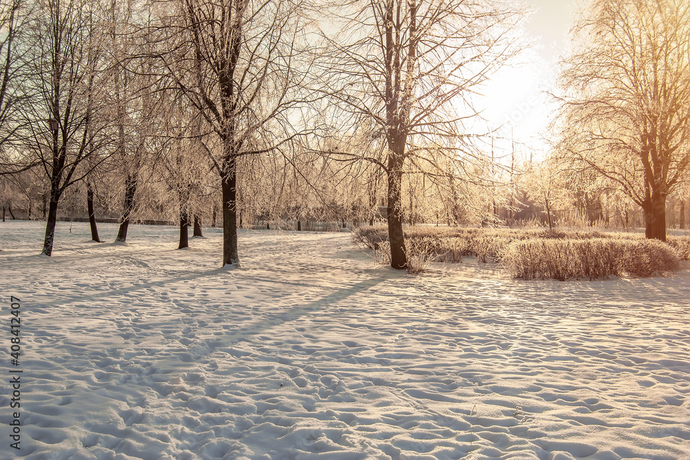 Winter landscape in the park. Frosty trees in a snow-covered forest on a sunny morning. Calm winter nature in the sunlight. Sunrise. Sunset. Winter landscape in the park. Frosty trees in a snow-covered forest on a sunny morning. Calm winter nature in the sunlight. Sunrise. Sunset.