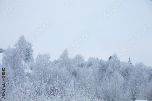 Trees in the snow with frost