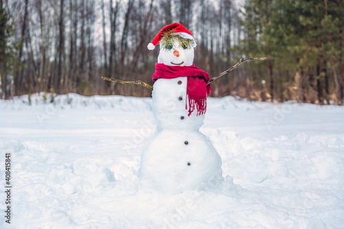 funny christmas snowman is in the forest
