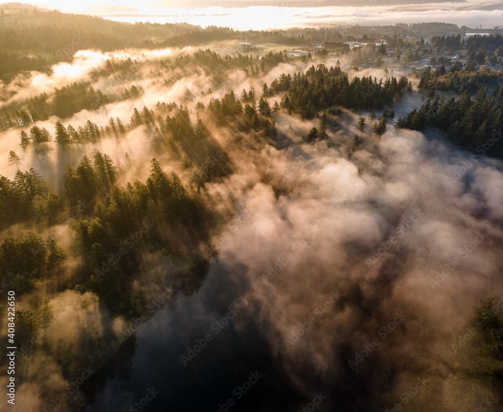 Foggy sunrise Foggy sunrise