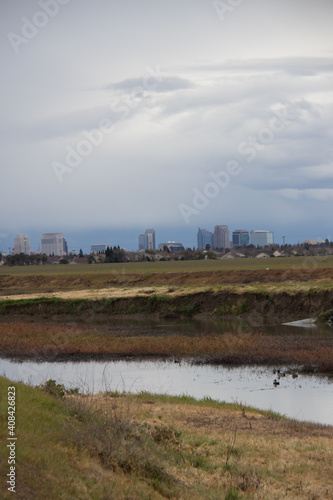 nature habitat in foreground with city in back ground