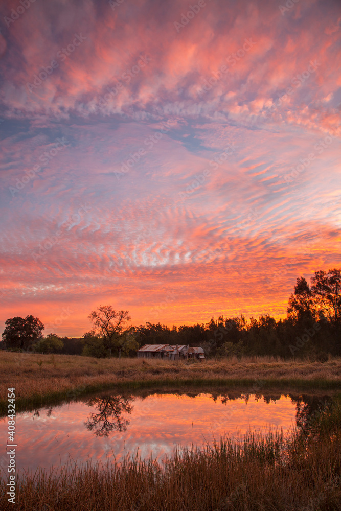 Fototapeta premium Beautiful sunset over Teds Hut and dam .Sedgefield near Singleton. Hunter Valley of N.S.W. Australia.