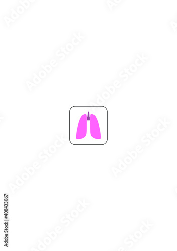 Lungs