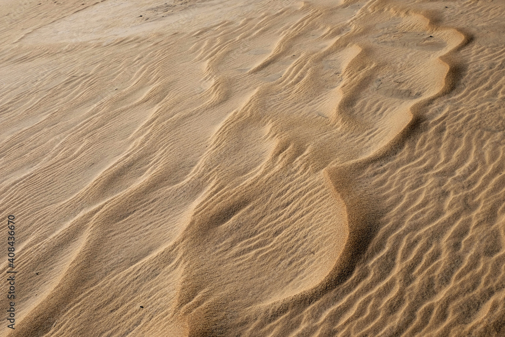 Fototapeta premium Sand dunes at Jockey's Ridge State Park