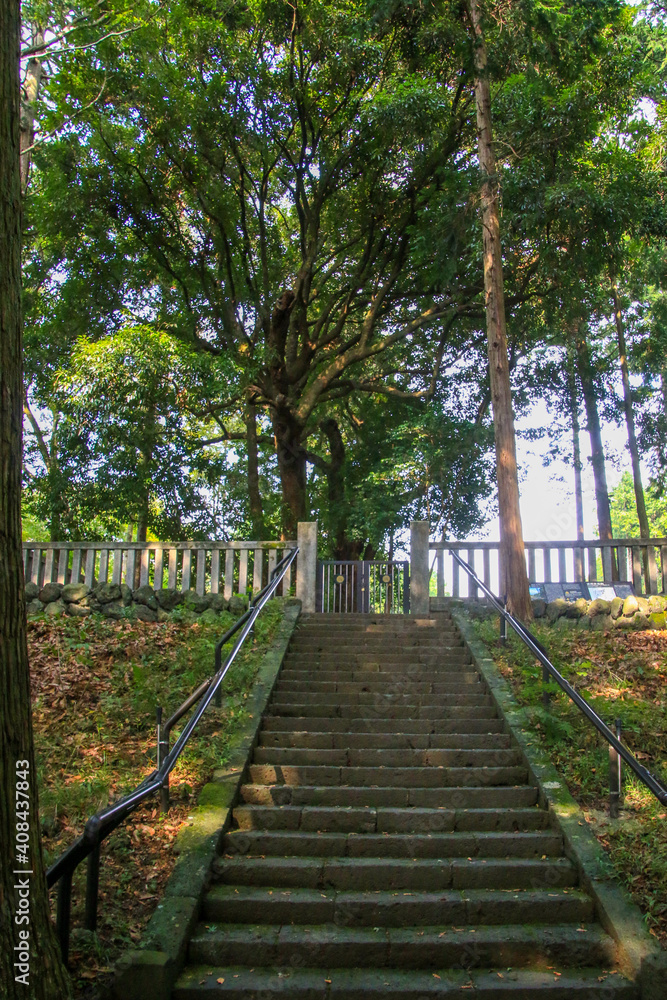 山宮浅間神社 山宮浅間神社