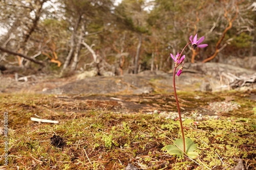 East Sooke Park on Vancouver Island