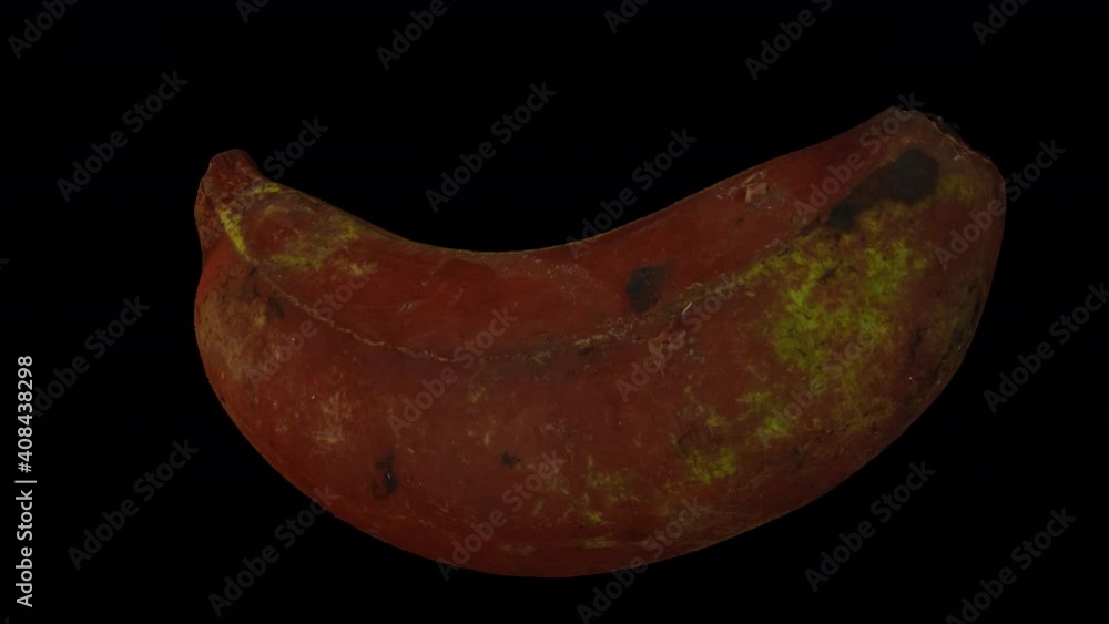 Realistic render of a spinning Red Banana on transparent background ...