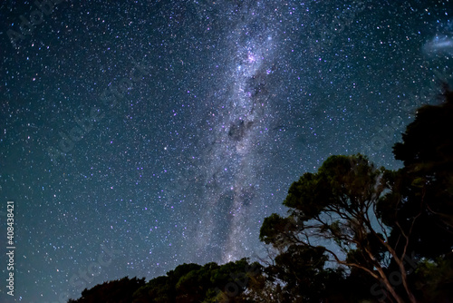 Starry sky with milky way above shape of trees in Abel Tasman National Park, New Zealand 