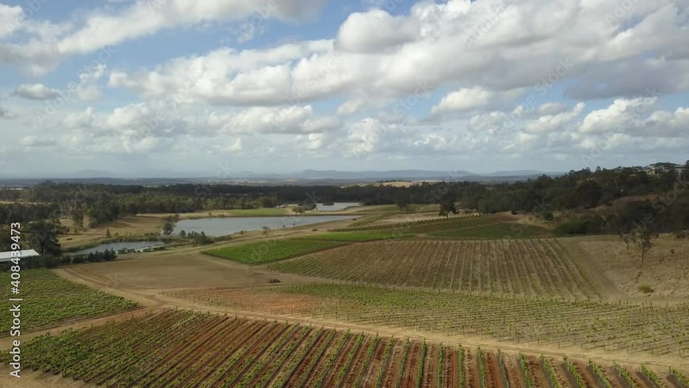 Aerial flyby of beautiful wine vineyards, Hunter Valley, Australia. 4k. Aerial flyby of beautiful wine vineyards, Hunter Valley, Australia. 4k.