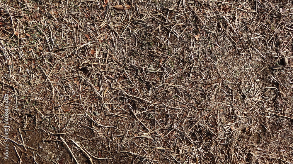藁と枯葉で覆われた地面