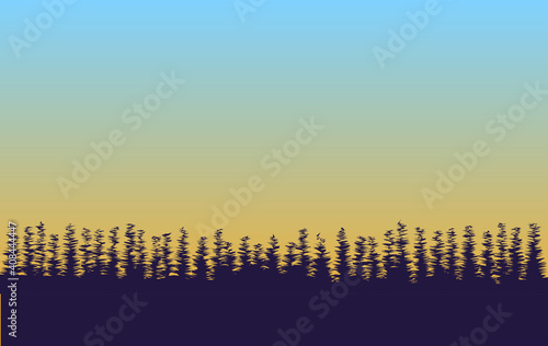 Pine Forest Silhouette wuth Gradient Background