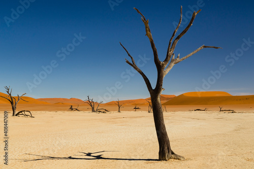 Obraz na płótnie Deadvlei im Namib, Namibia, Afrika, Deadvlei in Namib, Namibia, Africa w salonie