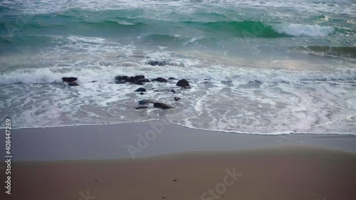 Wallpaper Mural Waves at the beach with little birds passing by Torontodigital.ca