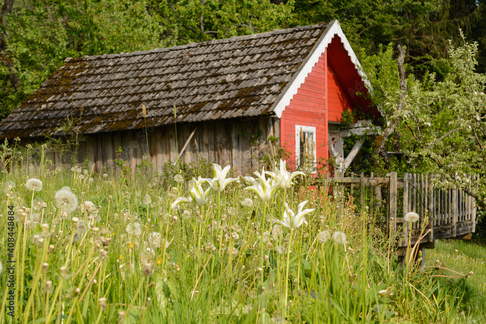 Idyllic Large Garden House With Terrace In The Meadow Idyllic Large Garden House With Terrace In The Meadow
