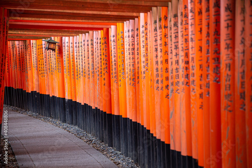 Red Torii gates in Fushimi Inari shrine in Kyoto, Japan 2019 Autumn colors 