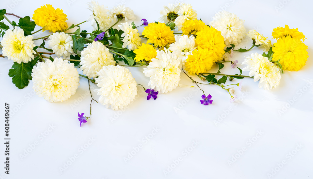 Banner of chrysanthemums and wildflowers on a white background with copy space
