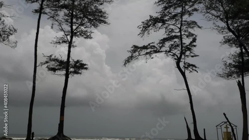 beach enter two trees,  Goa beach tree on the varca Beach,  varca Beach in Goa.  photo