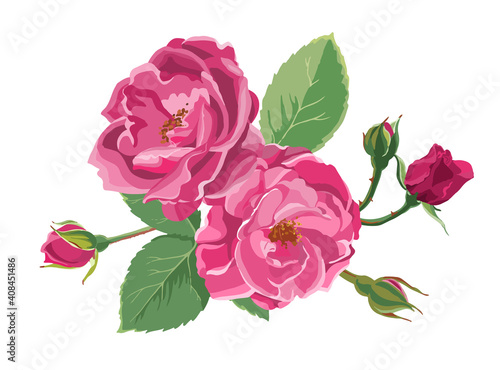 Blooming roses or peonies with leaves and buds