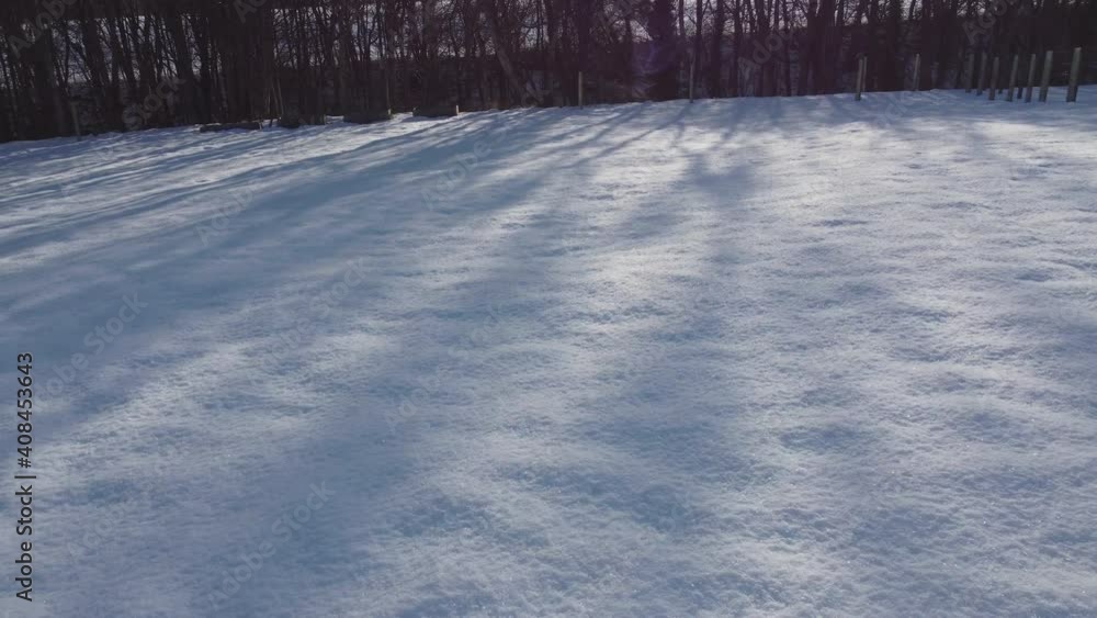 View flying across snow covered field towards wood with long dark shadows of trees at sunset. 4K shot from drone flying at low level over winter landscape. View flying across snow covered field towards wood with long dark shadows of trees at sunset. 4K shot from drone flying at low level over winter landscape.