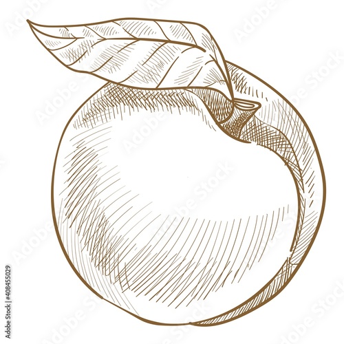 Natural organic sweet fruit, peach or nectarine