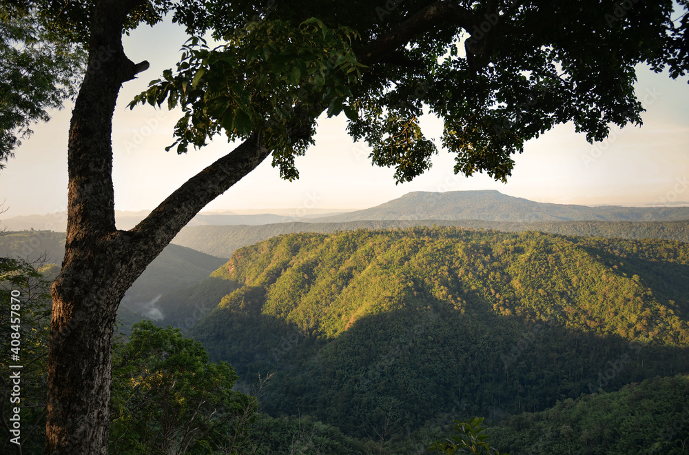 Obraz premium mountains range in mist landscape and tree on foreground : Thailand