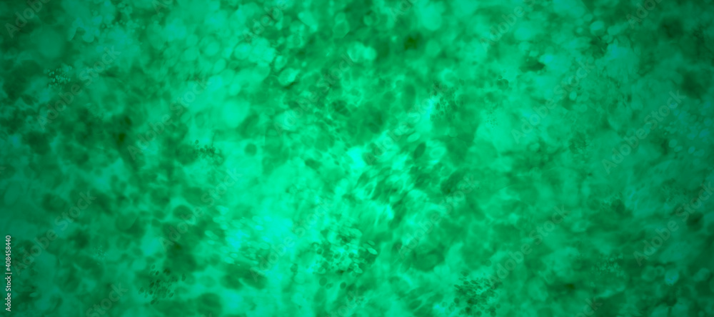 Fototapeta premium abstract fractal colorful green emerald olive clover lime marbled stone wall concete cement grunge image paint background bg texture wallpaper art frame sample illustration board