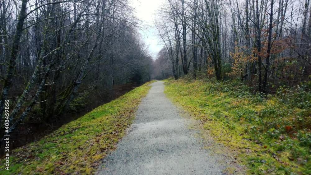 Fly over lonely gravel trail surrounded by trees without leaves Fly over lonely gravel trail surrounded by trees without leaves