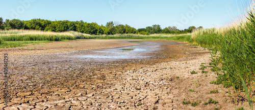 Dry riverbed with water remnant in puddles and cracked soil in hot summer time. Green forest and reed thickets on sides of waterless river in drought photo
