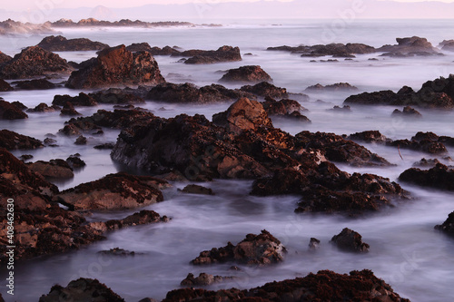 Estero Bluffs State Park, Highway 1, near Cayucos and Morro Bay, central California, USA