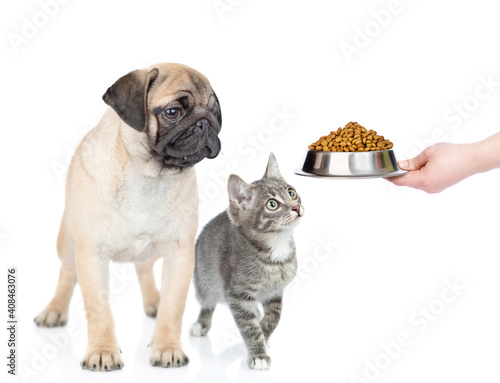 Owner feeds cat and dog with a dry food. isolated on white background