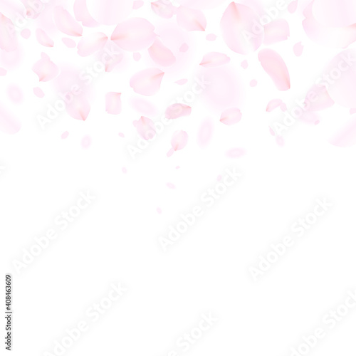 ピンクの花びらが舞う背景イラスト