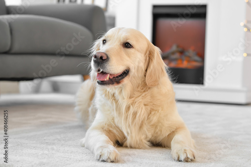 Fototapeta Naklejka Na Ścianę i Meble -  Cute dog near fireplace at home. Concept of heating season