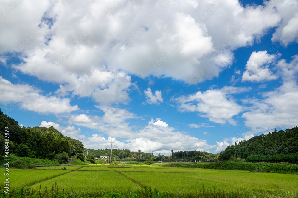 Obraz premium 青空の下に広がる新緑と田園風景