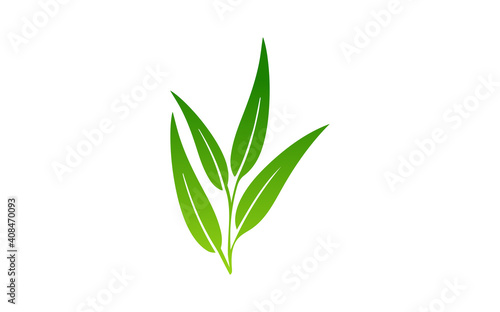 Green Leaf Ecology Nature Icons. Green Color. Leafs Green Color Icon Logo. Leaves on White Background. Ecology. Vector illustration.