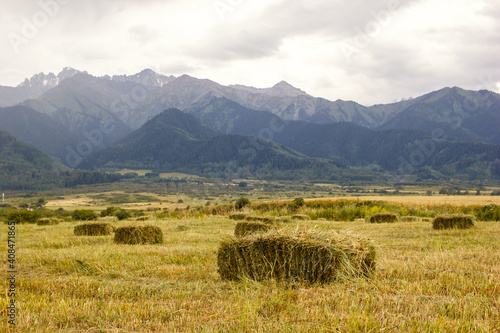 Stacks of hay on a green meadow near the aul in mountains in central asia.