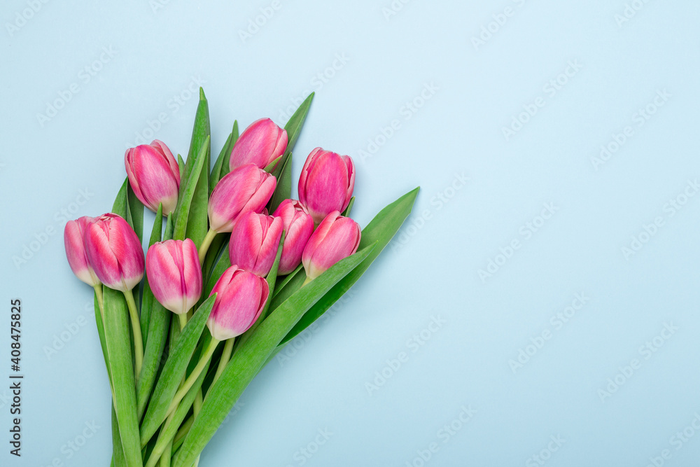 Spring mockup with pink tulips on blue background. Easter concept. Copy space. Top view - Image