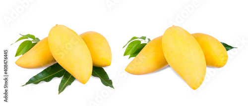 Fototapeta Naklejka Na Ścianę i Meble -  Yellow mango   isolated on a white background