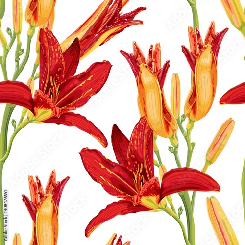 Seamless pattern with bright red and yellow daylily flowers. Botanical illustration with hemerocallis flowers on a white background. Stock Vector Illustration.