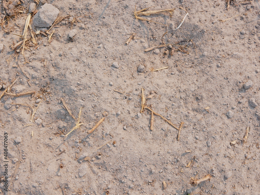 Close up of dry sandy / light acidic soil with low nutrients and quick water drainage Close up of dry sandy / light acidic soil with low nutrients and quick water drainage
