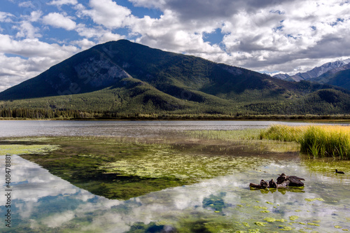 Rocky Mountain Reflection. Banff National Park. Alberta. Canada. Cloudy sky and mountain. 