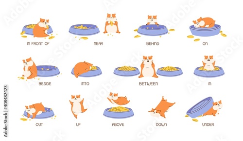 Educational set of hamster and English prepositions of place and movement. Cute and funny animal with bowls and vocabulary isolated on white. Colored flat vector illustration for language learning