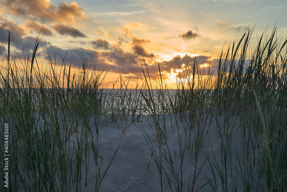 scenic sunset over the north sea with beach grass on a dune in forground - location: Vejers Strand, Denmark scenic sunset over the north sea with beach grass on a dune in forground - location: Vejers Strand, Denmark