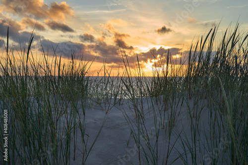 scenic sunset over the north sea with beach grass on a dune in forground - location  Vejers Strand  Denmark