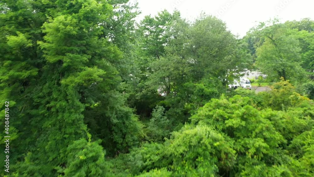 Descending View of Trees, Grass and Bushes in a Front Yard of a Luxury Home Descending View of Trees, Grass and Bushes in a Front Yard of a Luxury Home