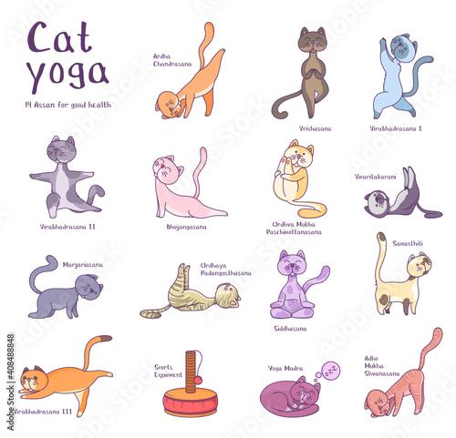 Vector illustration of the characters of cat yoga. Set of cats in asanas. For printing on clothing or products.