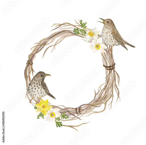 Watercolor painting wreath with song thrush and daffoldil flowers. Spring illustration. photo