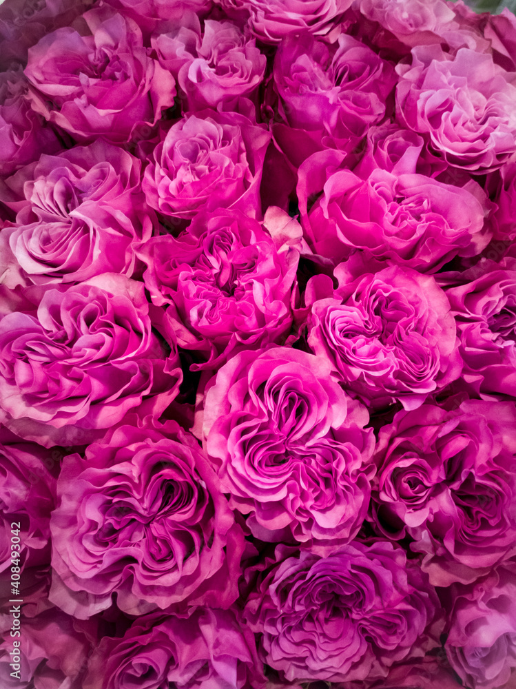 Obraz premium Delicate bouquet of roses close-up, floral background